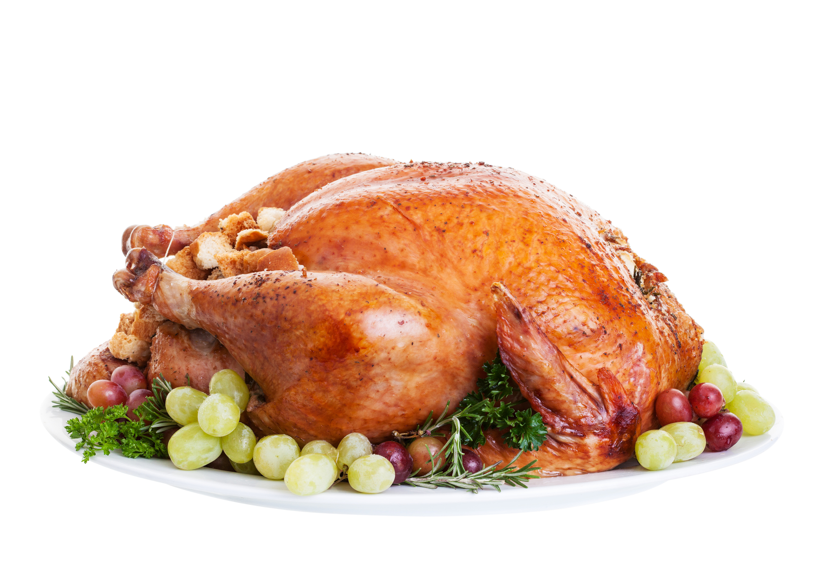 holiday turkey