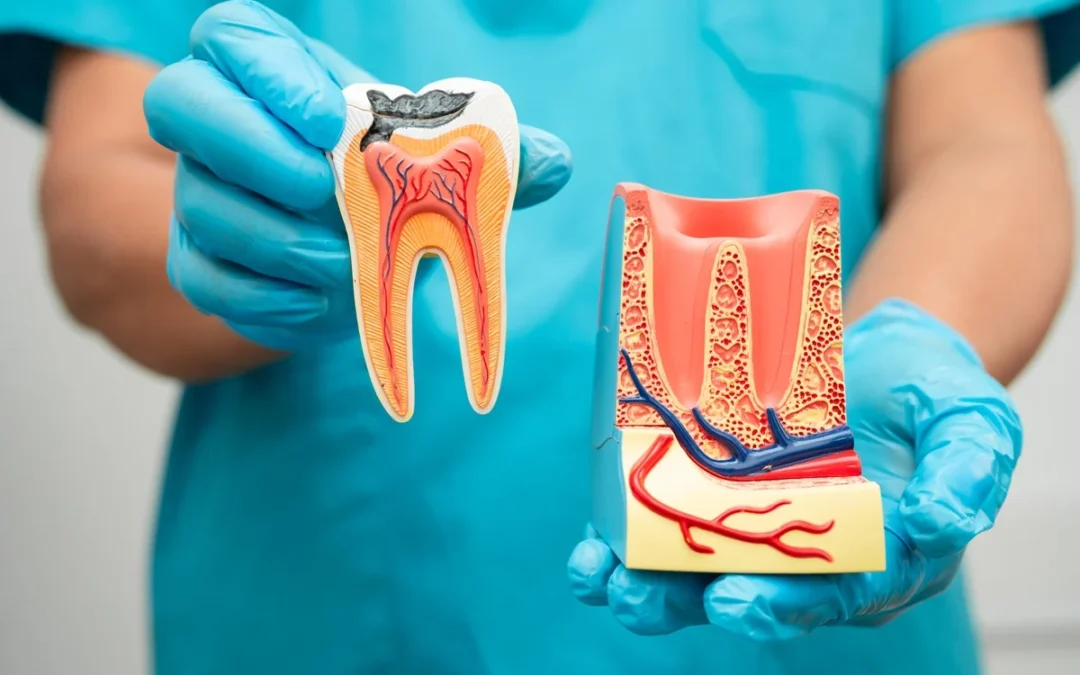 Your Ideal Guide to Modern Dental Implant Treatments